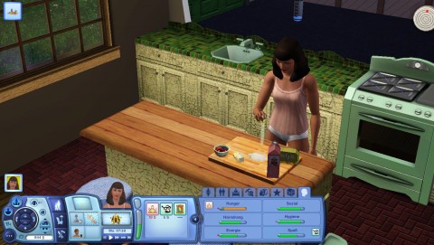 Sims 3
